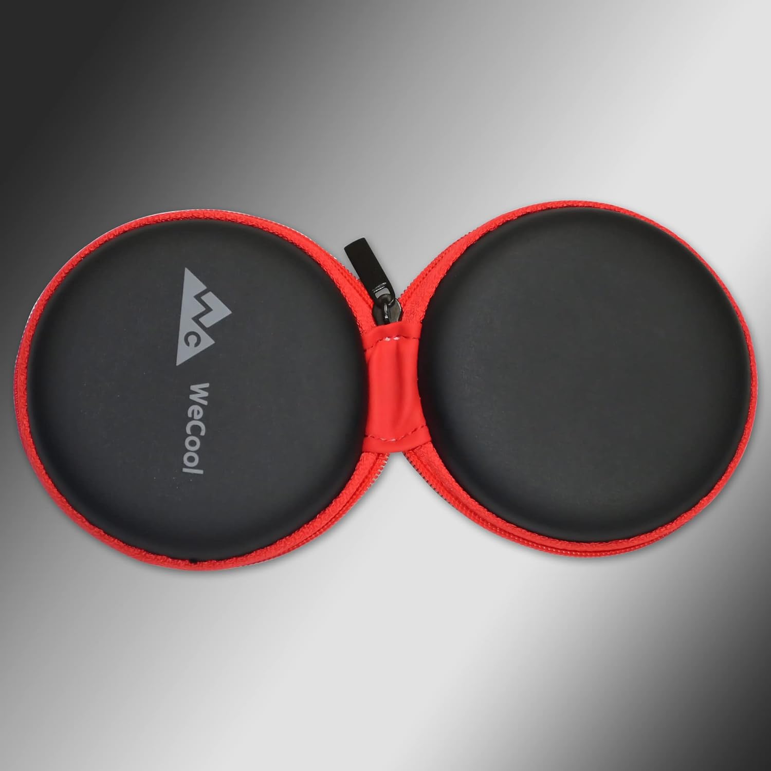 WeCool Earphone Carrying Case or Multi-Purpose Carry Pouch for Carrying Earphones, Headset, Pen Drives, SD Cards, with Anti Fall Mesh Inside Case